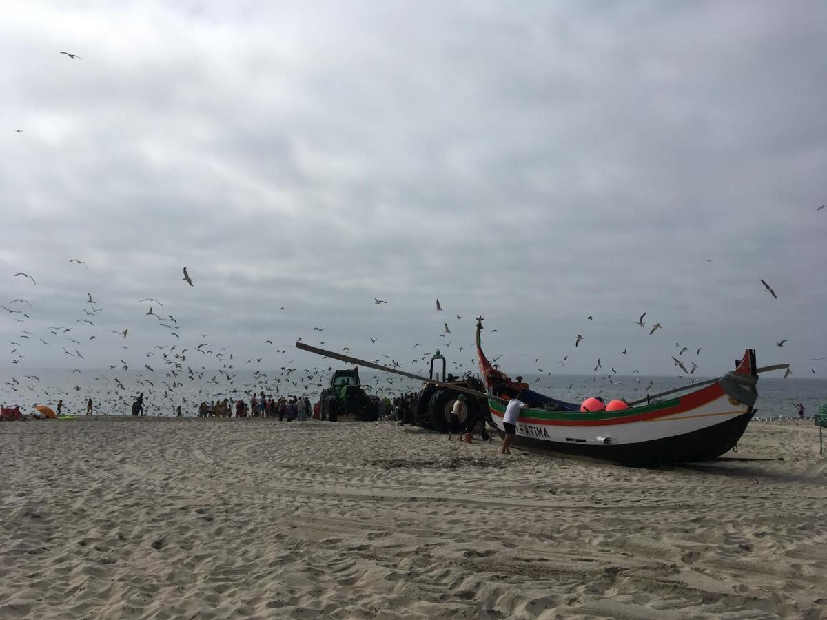 Moradia Proxima Da Praia Do Areinho, Na Ria, E Praia Dos Marretas Ovar Exteriör bild